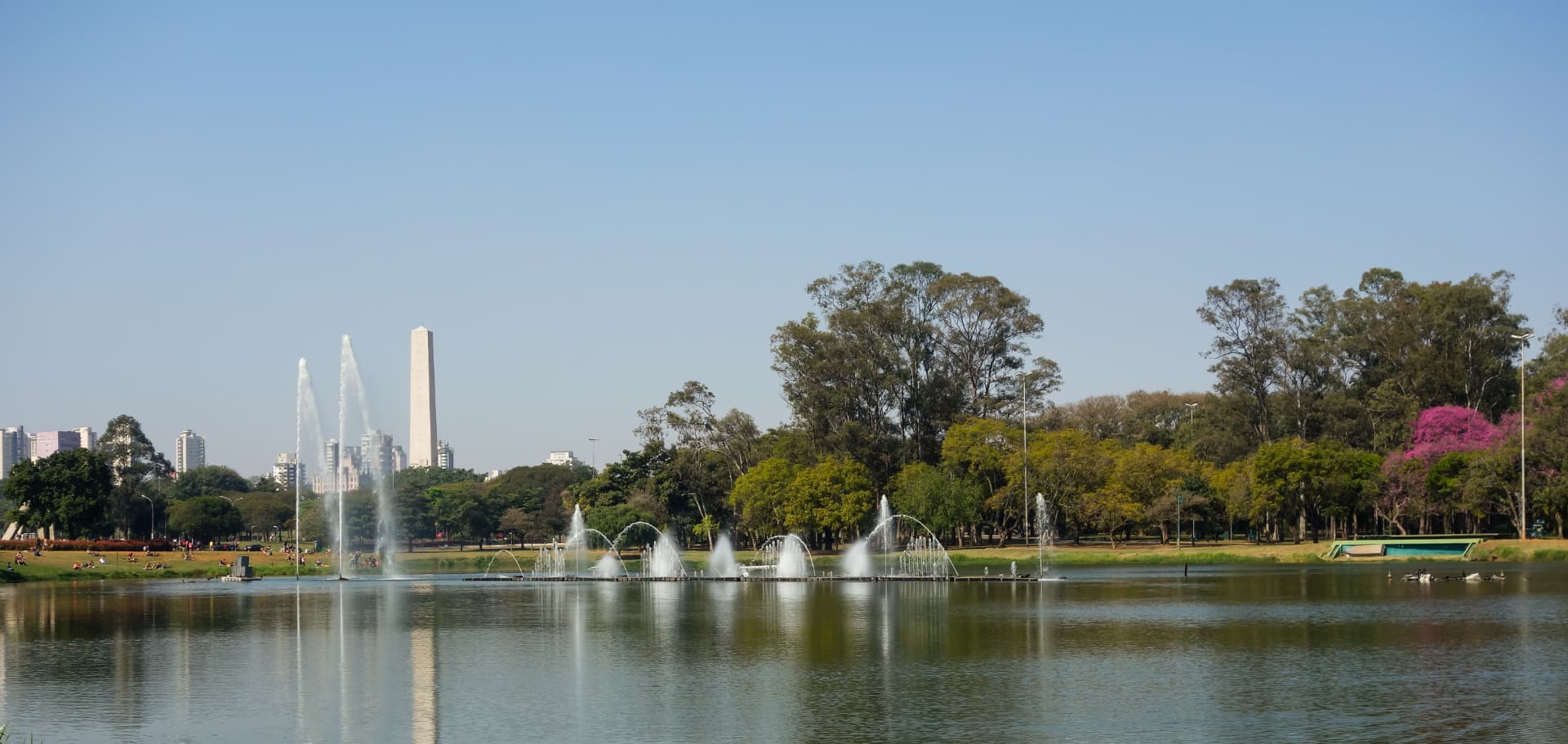 Lago do Parque Ibirapuera cercado por árvores